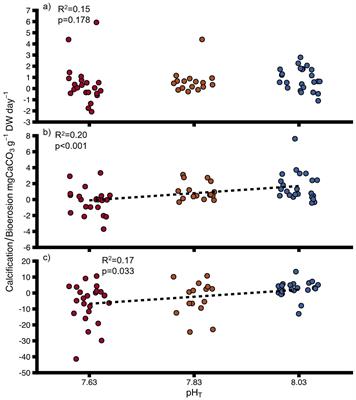 Effects of ocean acidification on the interaction between calcifying oysters (Ostrea chilensis) and bioeroding sponges (Cliona sp.)